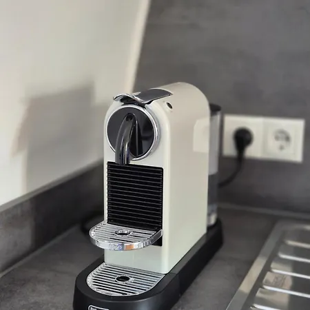 Appartement Sanierte Altbauwohnung Mit Arbeitszimmer & Parkplatz Am Rhein *